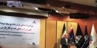 فیلم/ جهش پتروشیمی ایران به روایت زنگنه