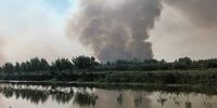  تالاب انزلی دچار آتش سوزی شد