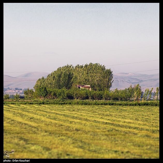 image12