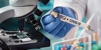 ۴۰ درصد انتقال ویروس کرونا از افراد بدون علامت