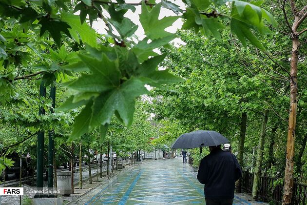 بارش باران تهران