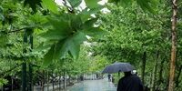 تصویری عجیب از بارش باران که شبیه انفجار هسته ایی شده