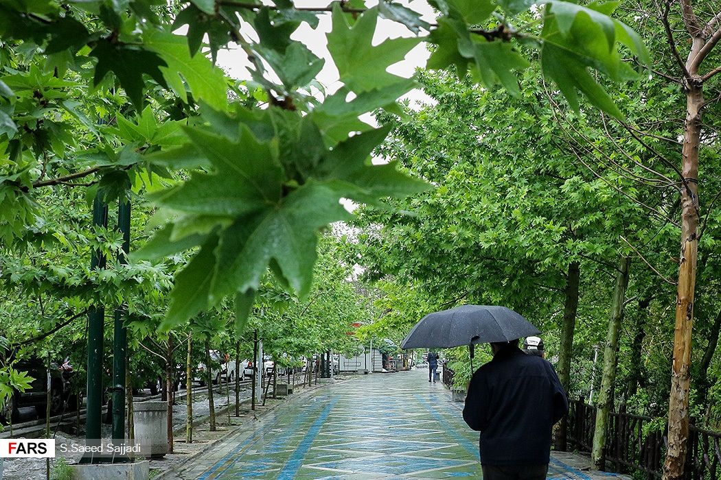 تصویری عجیب از بارش باران که شبیه انفجار هسته ایی شده