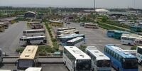  رانندگان اتوبوس سهمی از بیمه بی کاری ندارند 
