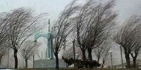 سازمان هواشناسی هشدار داد: بارش شدید باران در ۷ استان