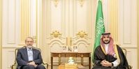 پیام وزیر دفاع عربستان بعد از دیدارش با لاریجانی در ریاض