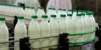 هشدار استاندارد تهران درباره شیر پگاه فاسد در بازار

