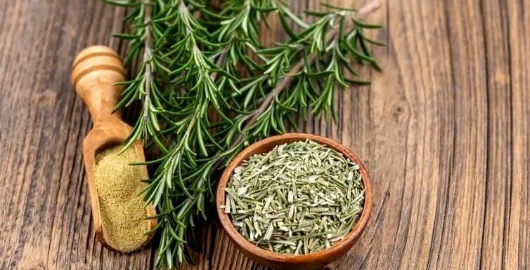 گیاهی که جای زخم را ترمیم می کند!