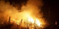 آتش‌سوزی گسترده در جنگل‌ها / دستور تخلیه هزار خانه صادر شد