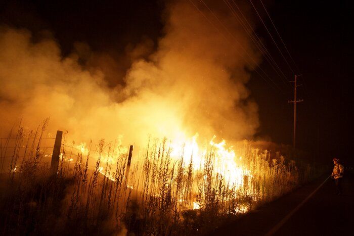 آتش‌سوزی گسترده در جنگل‌ها / دستور تخلیه هزار خانه صادر شد