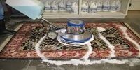  رئیس اتحادیه قالیشویان: شست و شوی قالی هیچ افزایش قیمتی ندارد