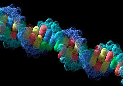 کشف یک ژن که خطر بیماری کرونا را 2 برابر می کند