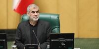 خبر مهم نیکزاد درباره سامانه شفافیت آرا