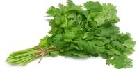 معجزه گشنیز خشک برای سلامت بدن 