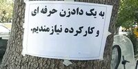 این شغل عجیب در ایران حقوق پنج میلیونی دارد!