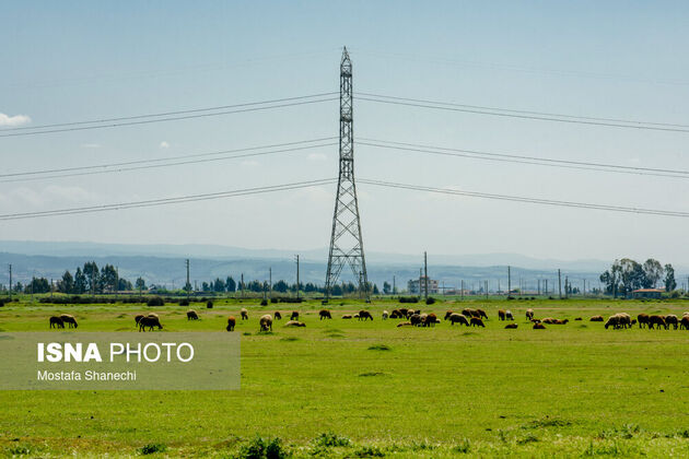 62239776_mazandaran-isna-3