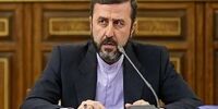 واکنش تند قوه قضائیه به اقدام ضد حقوق بشری دادگاه فرانسه درباره بشیر بی آزار