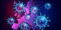 کشف نوع جدیدی از ویروس کرونا با جهش های مختلف