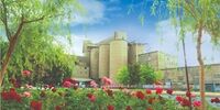 راهکار اجرایی سیمان کرمان در جهت افزایش میزان تولید وکاهش قیمت سیمان، با تولید نسل جدید سیمان های"LC3"