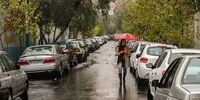 مردم این استان‌ها منتظر بارش باران باشند/ سامانه بارشی جدید رسید
