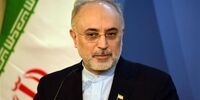 همکاری با اروپا در بخش فنی خوب جلو می‌رود/ اینستکس قدم امیدوارکننده‌ای بود