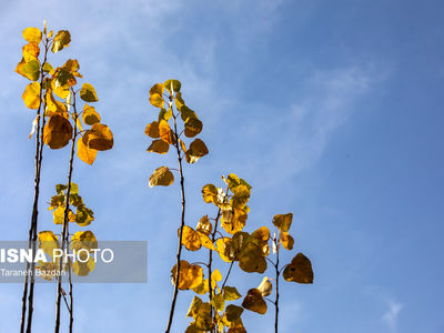 تصاویر| تابلوی زنده پاییز در قلب زاگرس