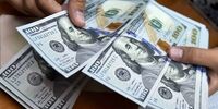 پیش‌بینی  قیمت دلار در روز دوشنبه/5 عامل کلیدی جهت یابی بازار ارز