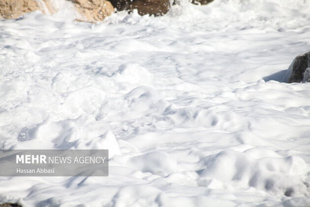 4065020_IMG_6979_resize