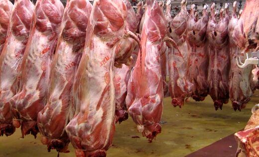 نابودی 320 تن گوشت در گمرک 