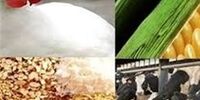 افزایش نرخ مصوب نهاده های دامی
