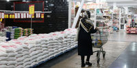 سقوط قیمت برنج ایرانی در بازار