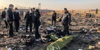 9 نکته درباره سقوط هواپیمایی اوکراینی به روایت همشهری /چرا 2 موشک به سمت هواپیما شلیک شد؟