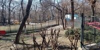 شناسایی 7837 مورد ناایمن در بوستان های پایتخت