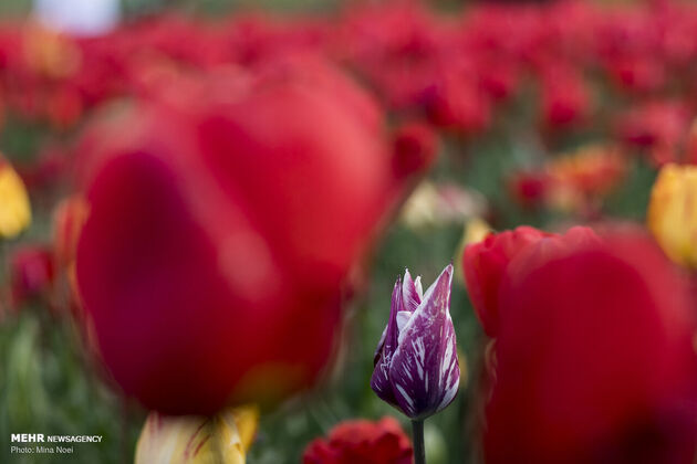 3769515_IMG_9577