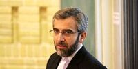 علی باقری‌: آژانس تسلیم فشار سیاسی نشود

