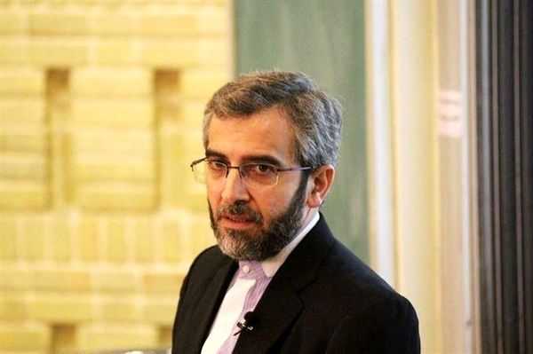 علی باقری‌: آژانس تسلیم فشار سیاسی نشود
