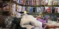 معجزه اشتغال با کارآفرینان روستای حلیمه جان 