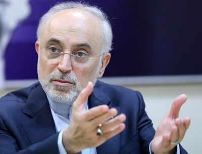 واکنش ادامه دار به اقدام ترامپ علیه خلیج فارس/ قطعا کشورهای همسایه تمایل ندارند با چنین خصومتی همذات‌پنداری کنند