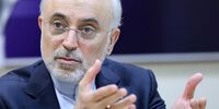 نامه محرمانه مخالفان مذاکره به دفتر رهبری به روایت علی اکبر صالحی 