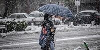 پیش بینی هفته ای بارانی در این استان ها