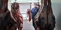 جولان دلالان در بازار گوشت گرمز/ صادرات دام مازاد به کشورهای هدف