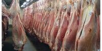 میزان عرضه گوشت قرمز در خرداد چه مقدار افزایش داشت؟