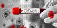 کشف دو نژاد جدید از ویروس کرونا ! 