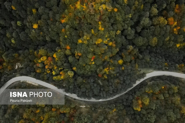 62073706_DJI_0469