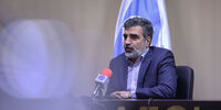 خبر کمالوندی از آغاز فرآیند بررسی‌های فنی-امنیتی دوربین‌های آژانس+فیلم