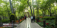 تصاویر| زیبایی شگفت انگیز باغ لاله ایرانی