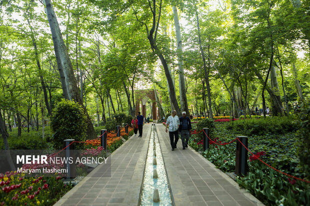تصاویر| زیبایی شگفت انگیز باغ لاله ایرانی