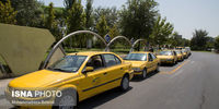 آخرین خبر درباره  بیمه رانندگان تاکسی 