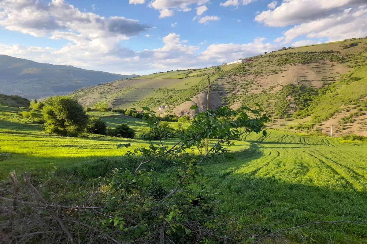 این استان شمالی خنک می‌شود