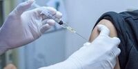 تکذیب جلوگیری از ورود کارمندان واکسن نزده 